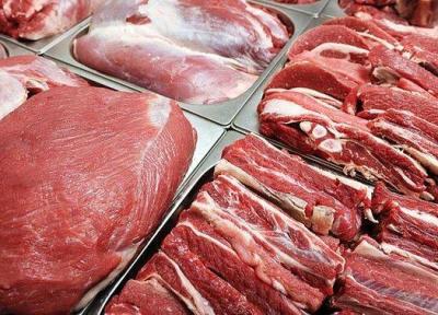 تشکیل زنجیره ارزش برای کاهش قیمت گوشت گرم گوساله