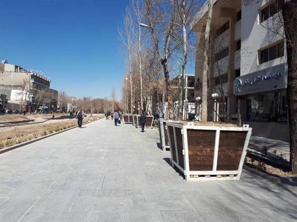 با اخذ مجوزهای لازم، کاشت درختان جدید در محور میانی چهارباغ عباسی اصفهان