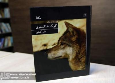 کتابی که نگاه تان به گرگ ها را تغییر می دهد