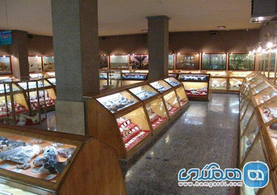 موزه تاریخ طبیعی دانشگاه بوعلی سینا یکی از موزه های دیدنی ایران است